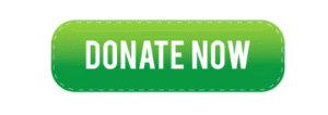 Donate Now button with white letters on a light to dark green background